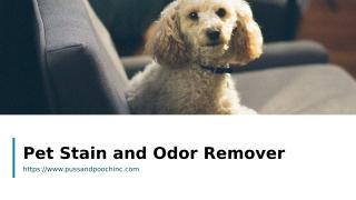 Pet Stain and Odor Remover (3).ppt