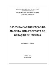 GAS DA CARBONIZACAO DA MADEIRA - VITOR FRAGA CONDE.pdf