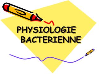 bacterio3an19-physiologie.pdf